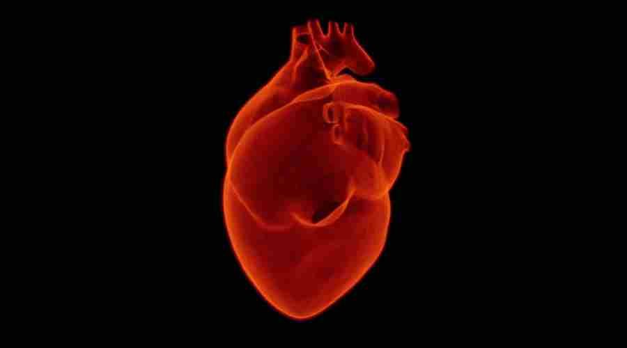 3D heart models will be printed in Rzeszow
