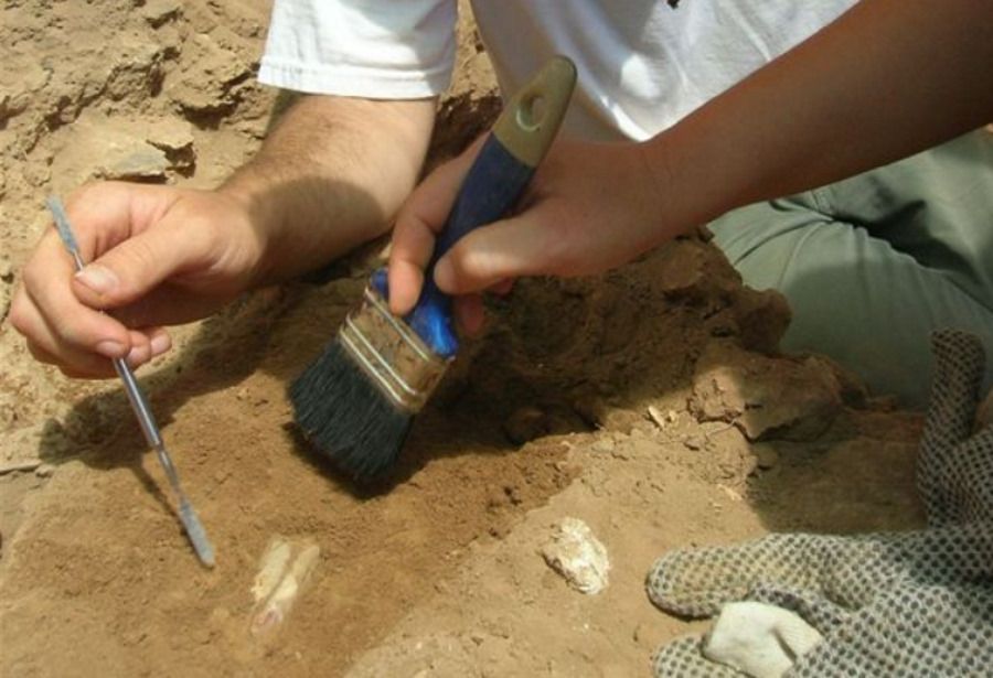 A lost medieval village has been discovered in Silesia